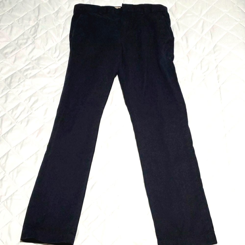 Banana Republic Dress Pants / Chino